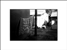 dailyPhoto32